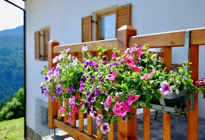 酒店 Agriturismo Reinhof