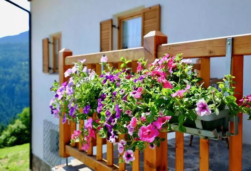 ホテル Agriturismo Reinhof
