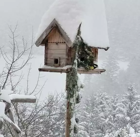 Hotelli Kräuterhof Miesrigl