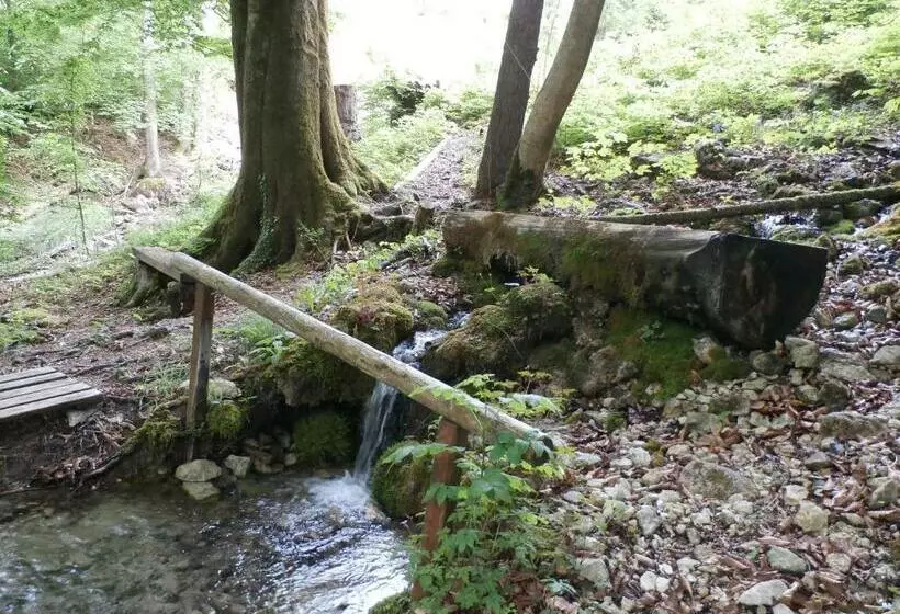 Hotelli Kräuterhof Miesrigl