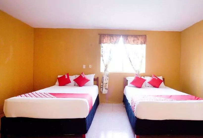 Hotelli Oyo  San Sebastian Tenabo