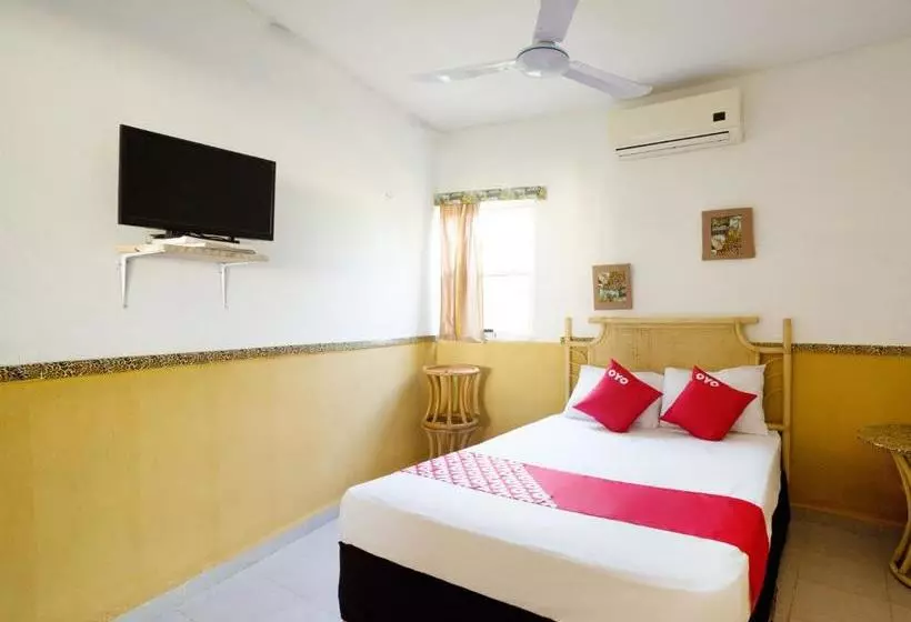 Hotelli Oyo  San Sebastian Tenabo