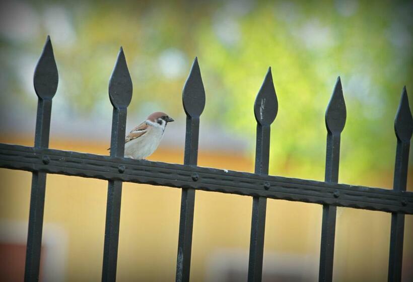 Hotel Pension Rothschildův Dvůr