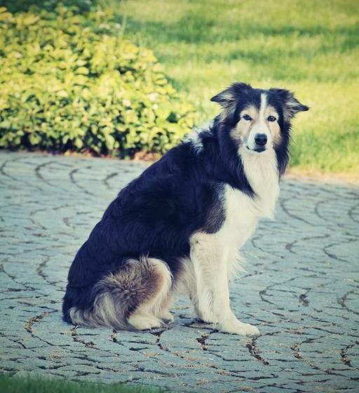 Hotel Pension Rothschildův Dvůr