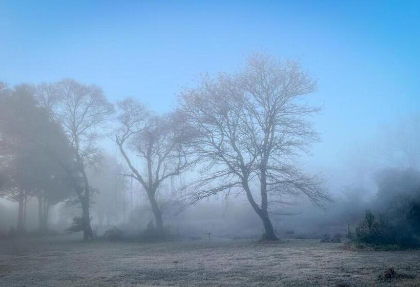Molweni   Kamberg Valley B&b