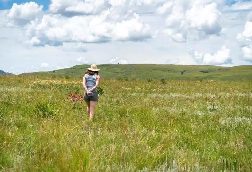 Molweni   Kamberg Valley B&b