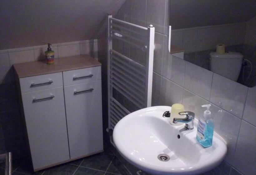 ペンション Penzion Aura