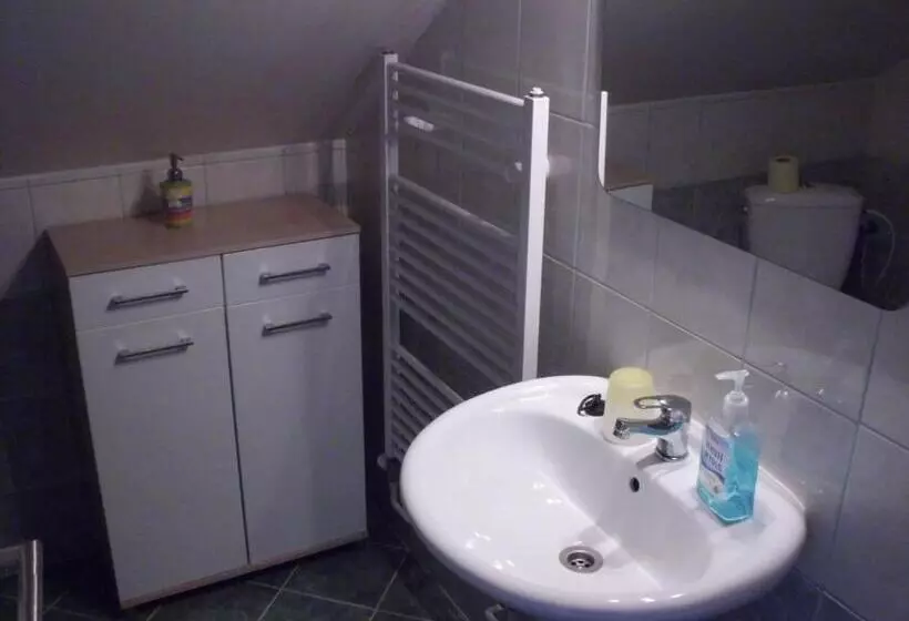 ペンション Penzion Aura