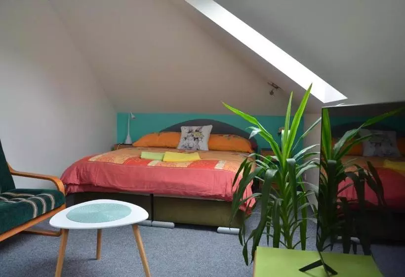 ペンション Penzion Aura