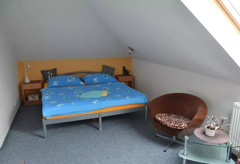 ペンション Penzion Aura