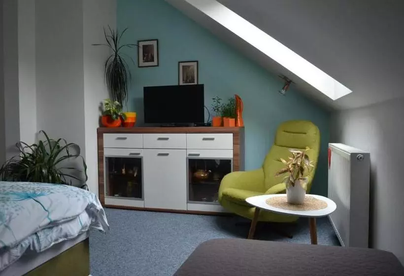 ペンション Penzion Aura