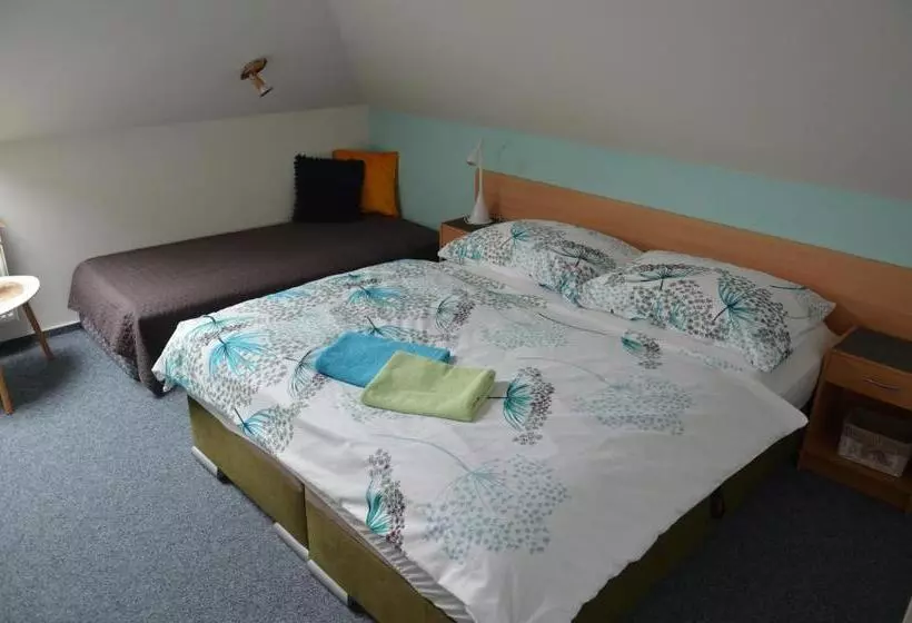 ペンション Penzion Aura