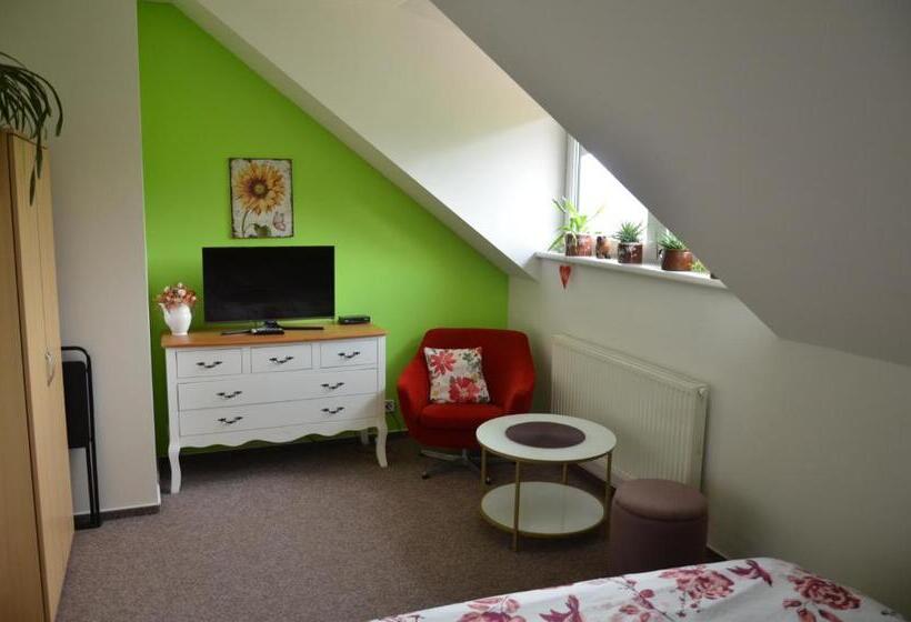 ペンション Penzion Aura