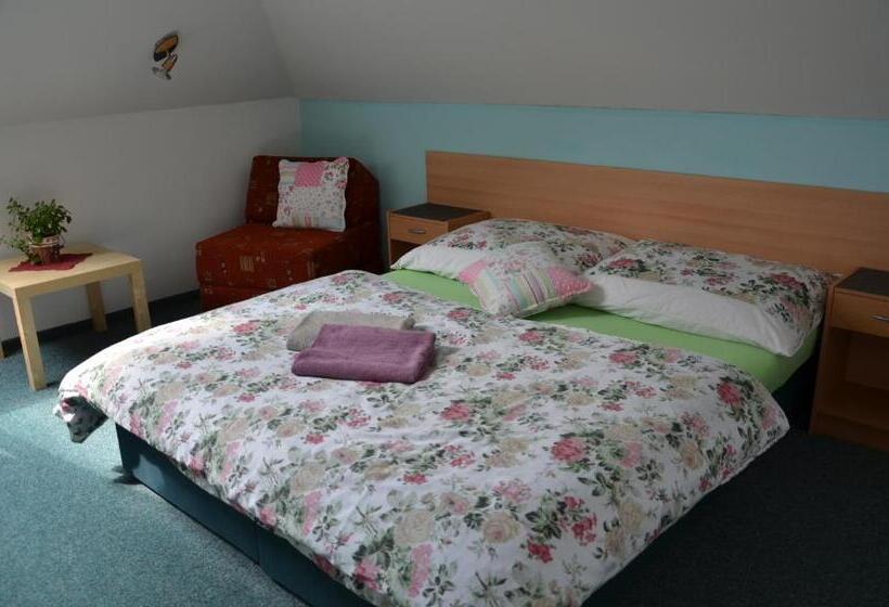 ペンション Penzion Aura