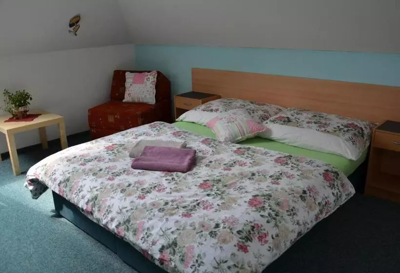 ペンション Penzion Aura