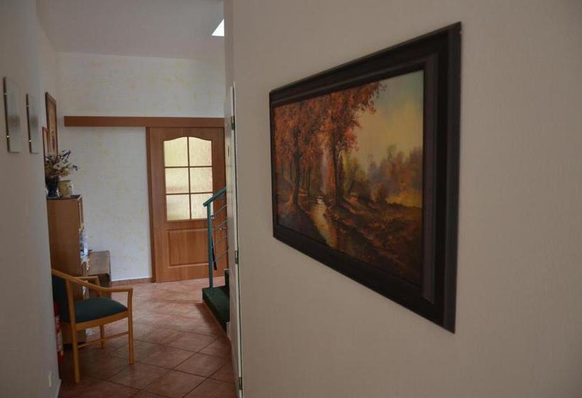 ペンション Penzion Aura