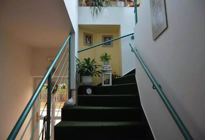 ペンション Penzion Aura