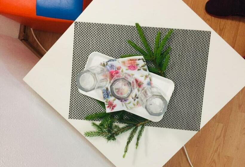 ペンション Vila Ranca