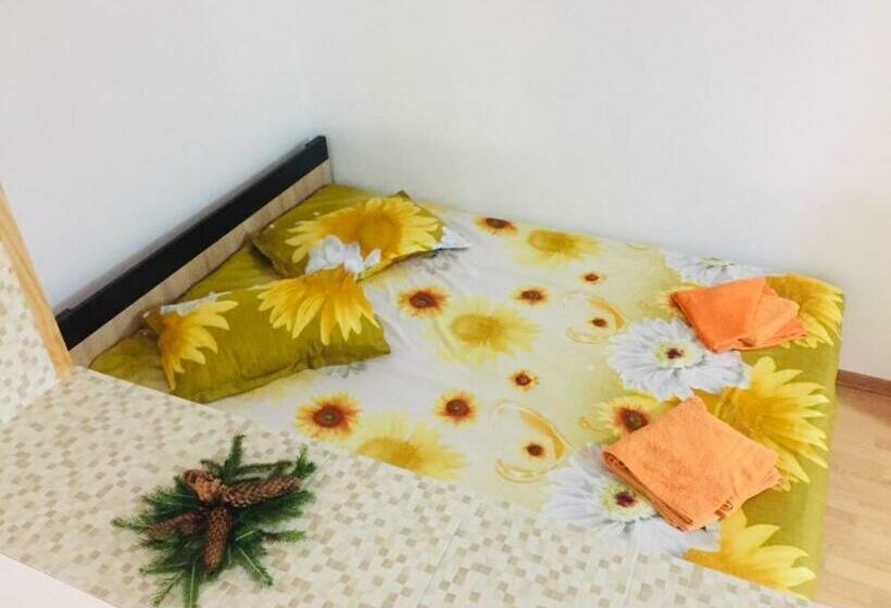 ペンション Vila Ranca