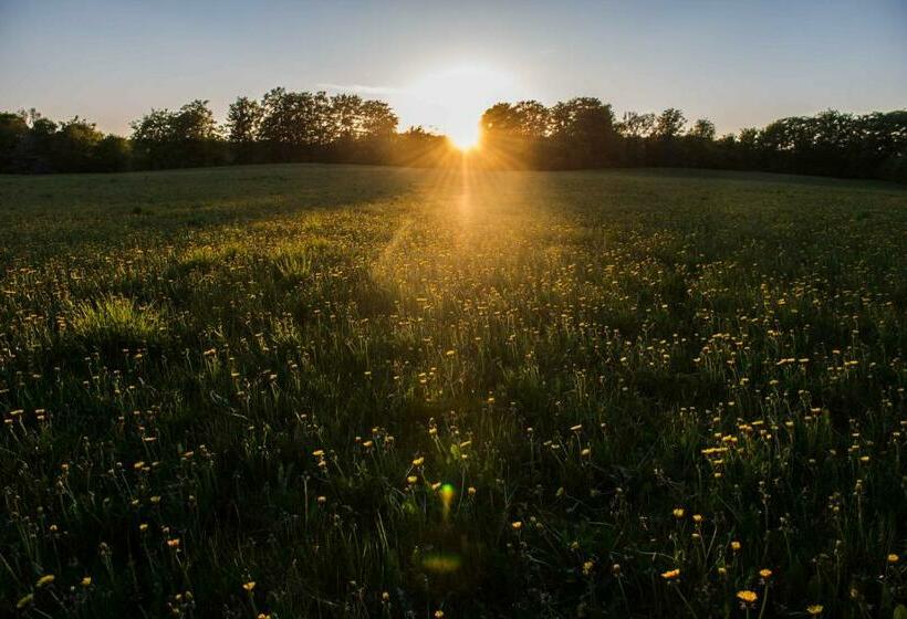 Stf Villa Söderåsen B&b