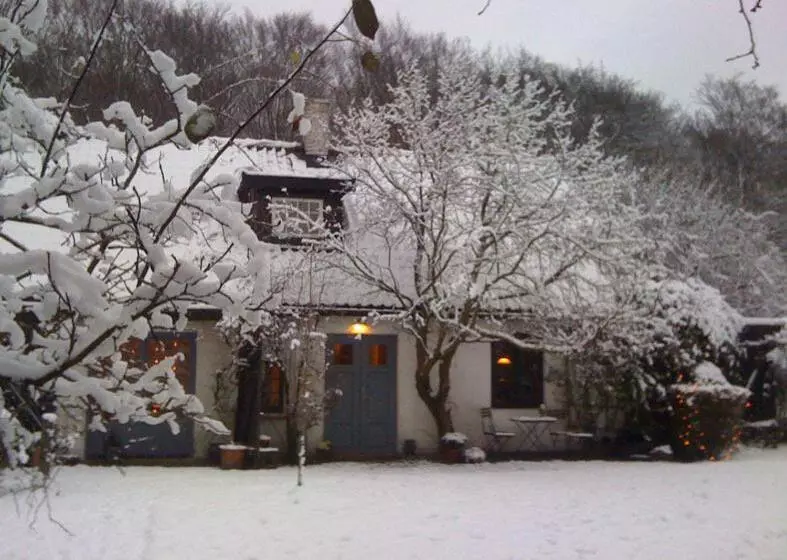 Trolleberg Bed & Breakfast