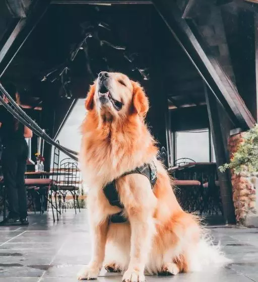 ユースホステル Pousada Pedra Grande