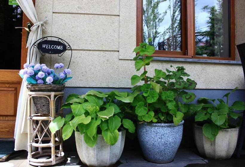 Aya Maria Wellness Spa Resort