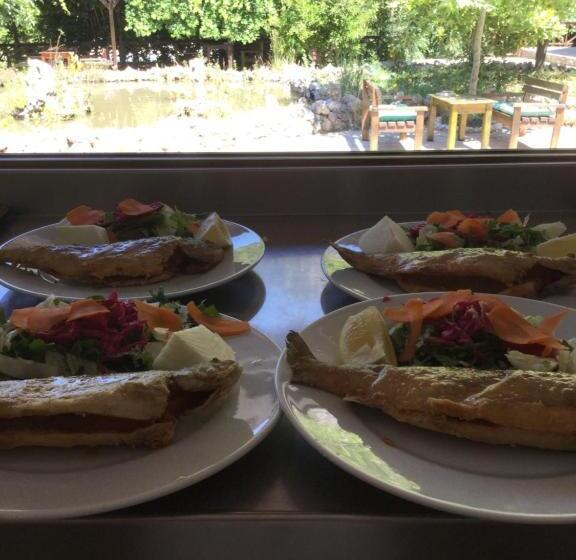 مبيت وإفطار Uyku Vadisi