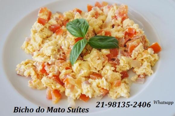 بنسيون Bicho Do Mato Suites