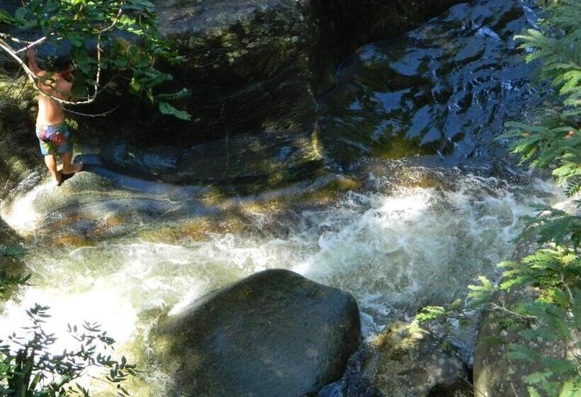 بنسيون Bicho Do Mato Suites