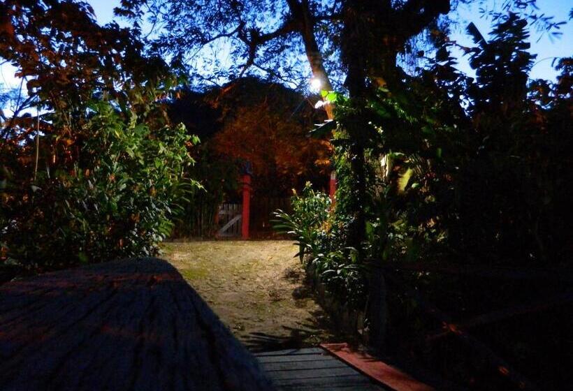 بنسيون Bicho Do Mato Suites