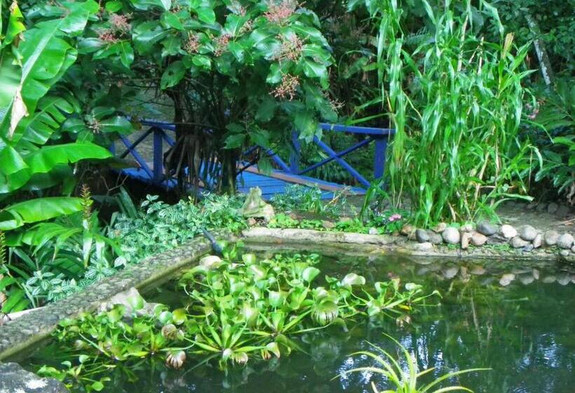 بنسيون Bicho Do Mato Suites