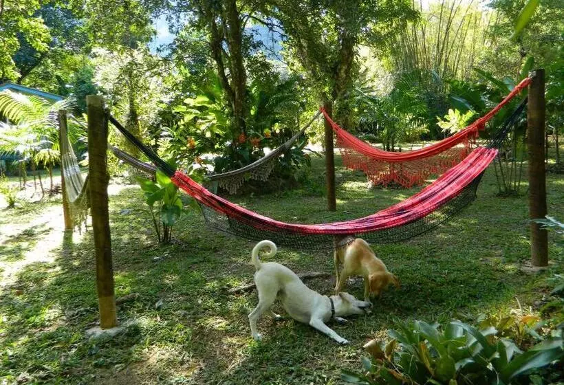 Majatalo Bicho Do Mato Suites