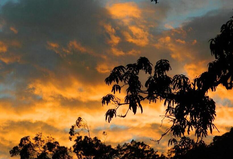 بنسيون Bicho Do Mato Suites