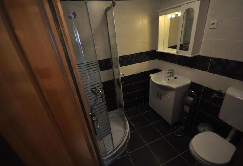 پانسیون Cabana Sargetia