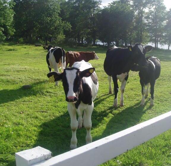 פנסיון Hofsnäs Lilla Sjöstuga