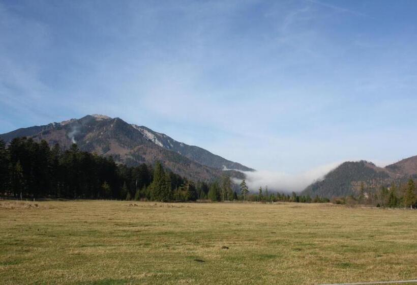 膳宿费 Penzion Koliba