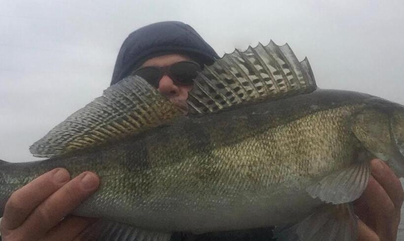 بنسيون Penzion Na Cymbálku