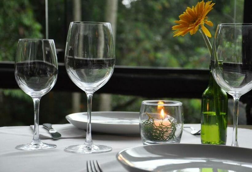 Pension Pousada A Rosa E O Rei