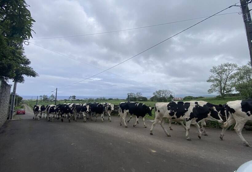 بنسيون Quinta Dos Bravos