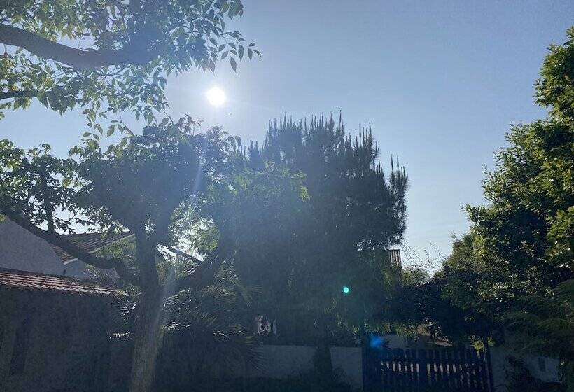 بنسيون Quinta Dos Bravos