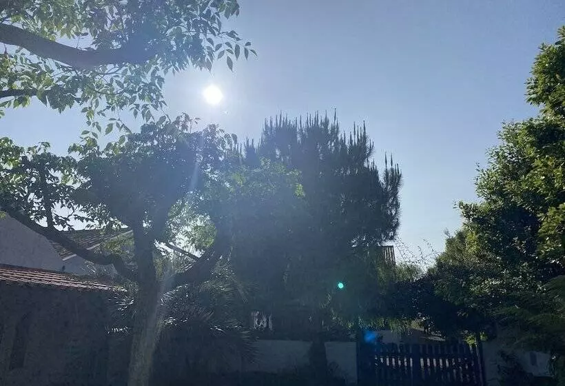 ペンション Quinta Dos Bravos