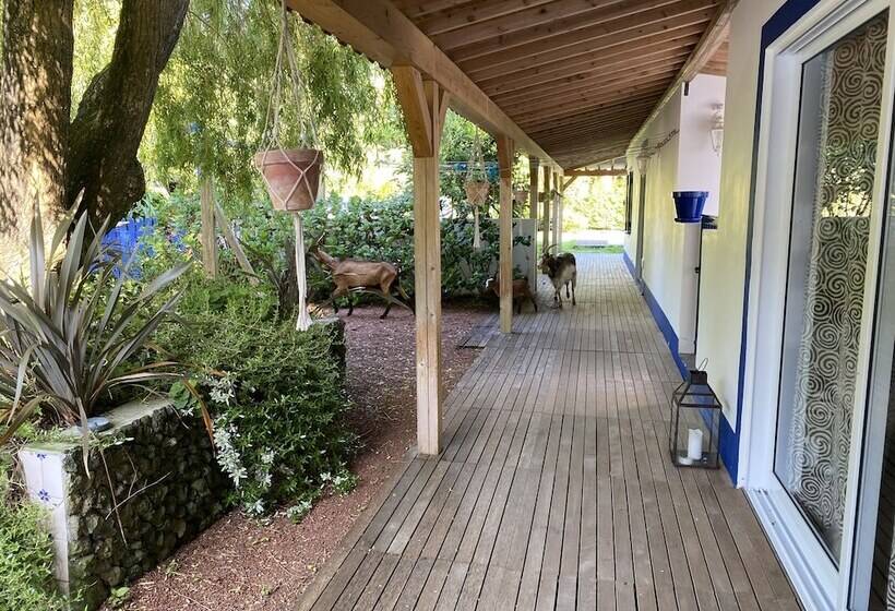 بنسيون Quinta Dos Bravos