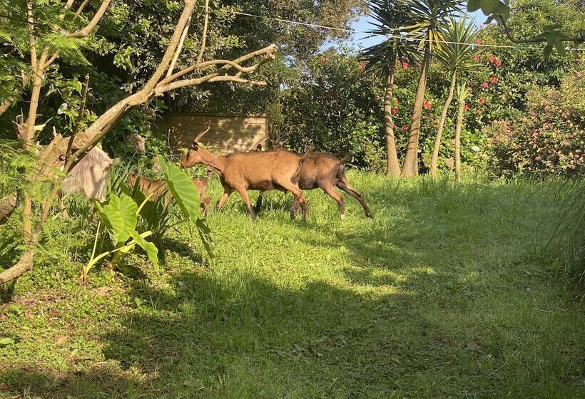 بنسيون Quinta Dos Bravos