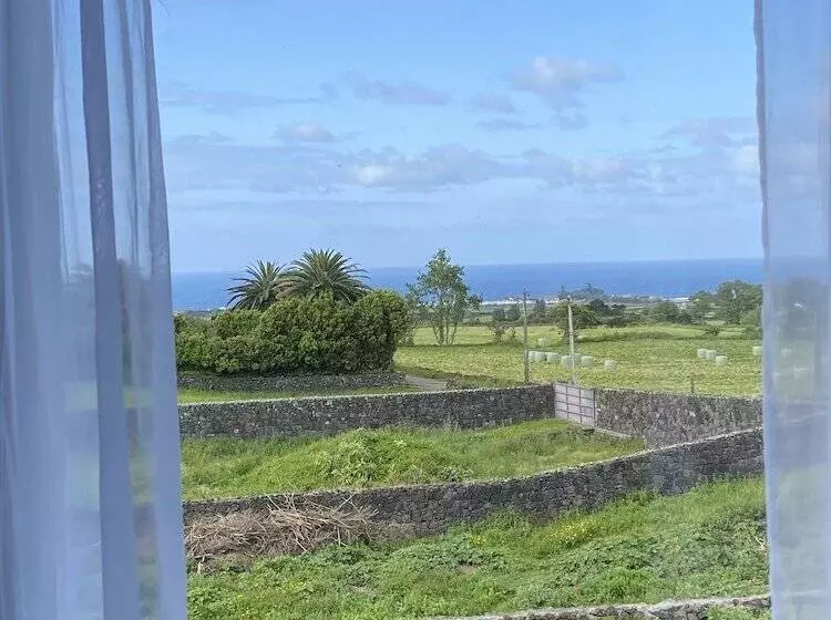 ペンション Quinta Dos Bravos