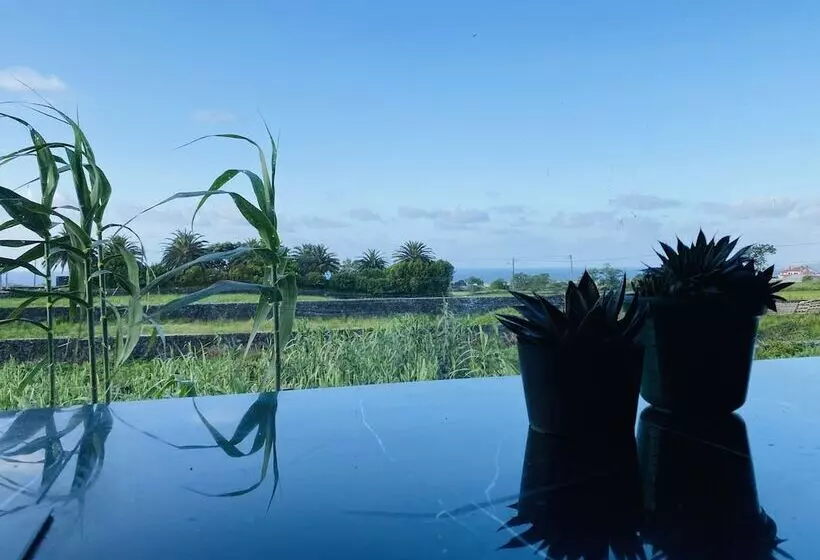 ペンション Quinta Dos Bravos