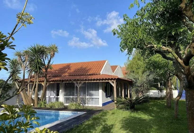 ペンション Quinta Dos Bravos