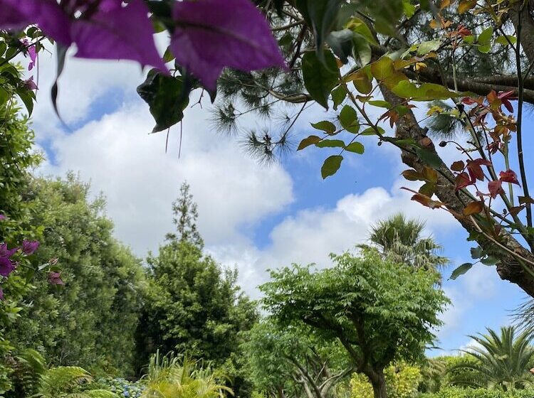 بنسيون Quinta Dos Bravos