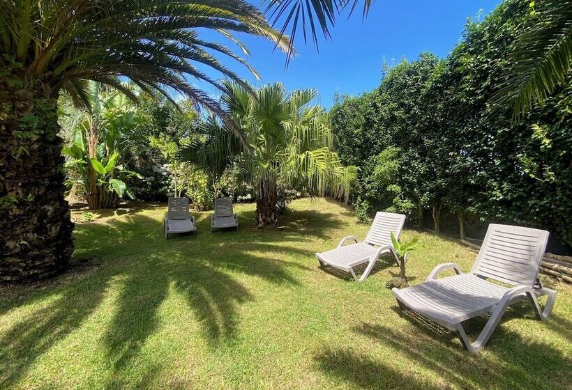 بنسيون Quinta Dos Bravos