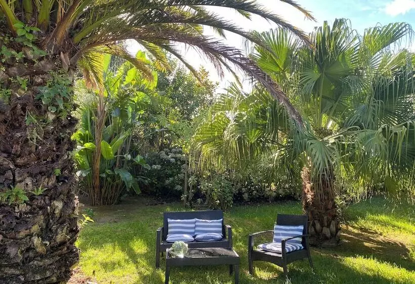 ペンション Quinta Dos Bravos